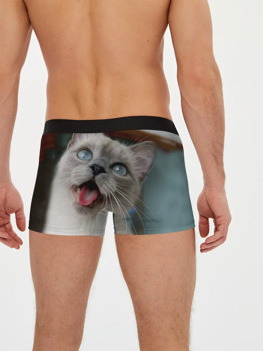 Мужские трусы боксеры / Сиамский котенок