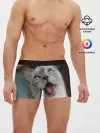 Мужские трусы боксеры / Сиамский котенок