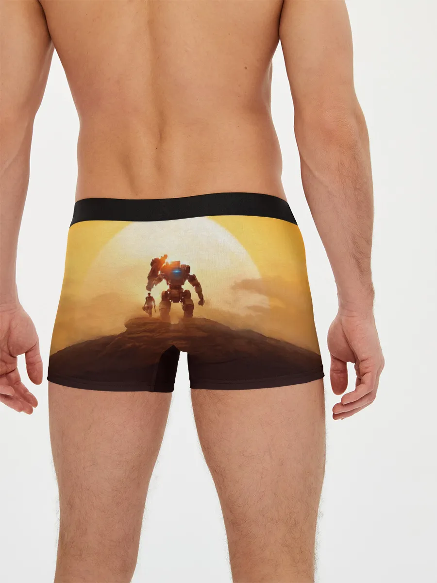 Мужские трусы боксеры / Titanfall