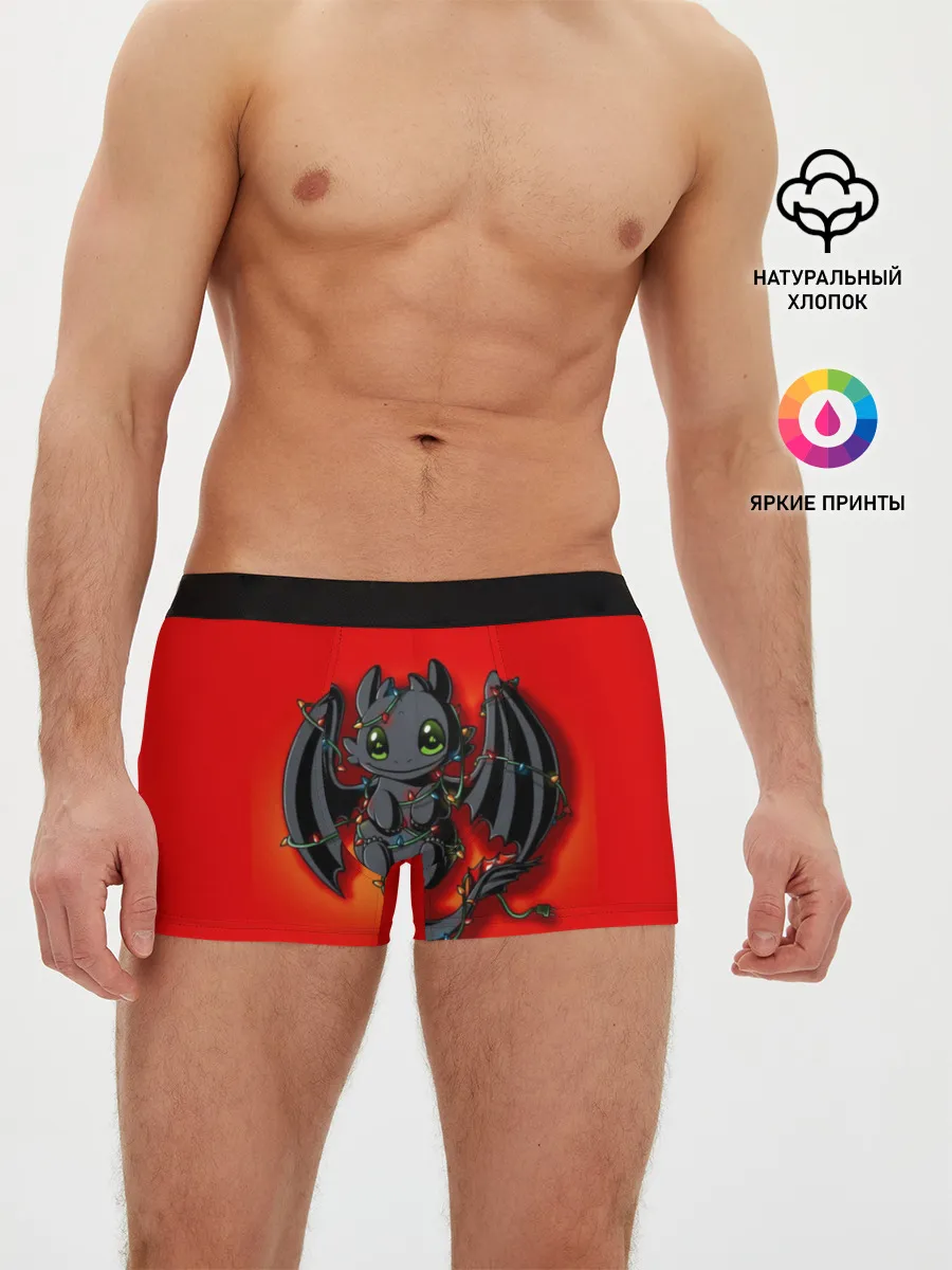 Мужские трусы боксеры / Night Fury