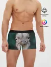 Мужские трусы боксеры / Подозрительный страус