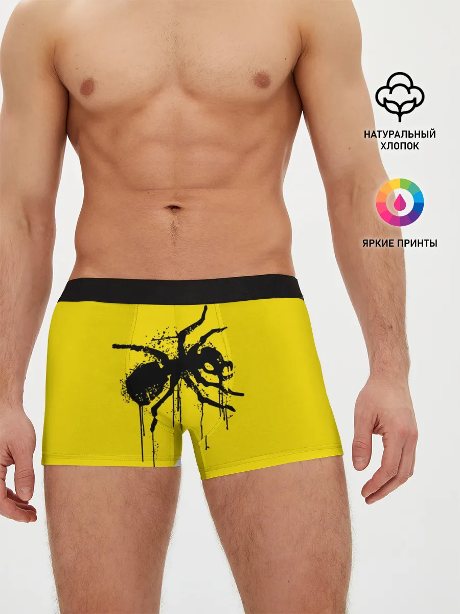 Мужские трусы боксеры / The Prodigy