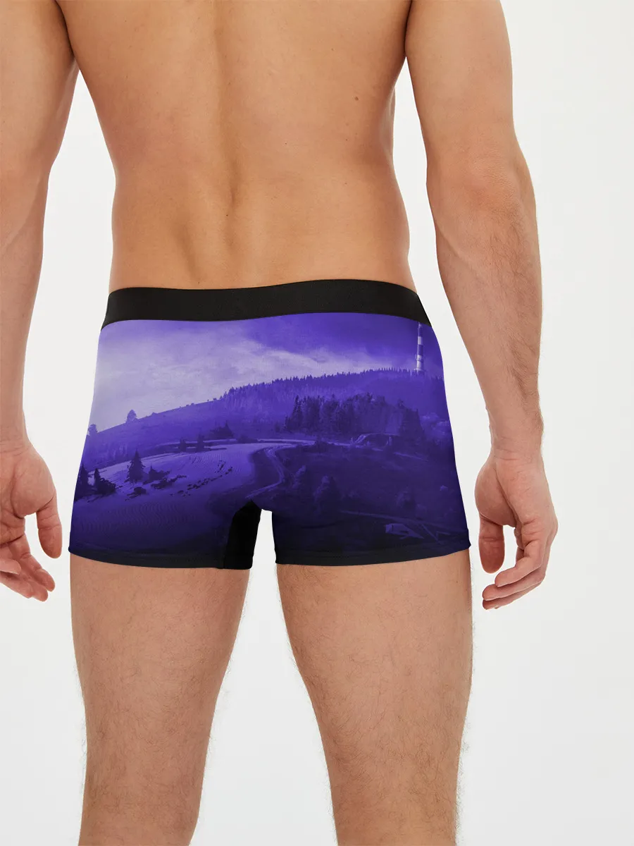 Мужские трусы боксеры / DAYZ