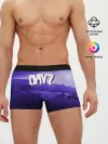 Мужские трусы боксеры / DAYZ