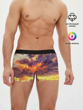 Мужские трусы боксеры / The End