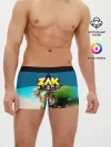 Мужские трусы боксеры / Zak Storm_2