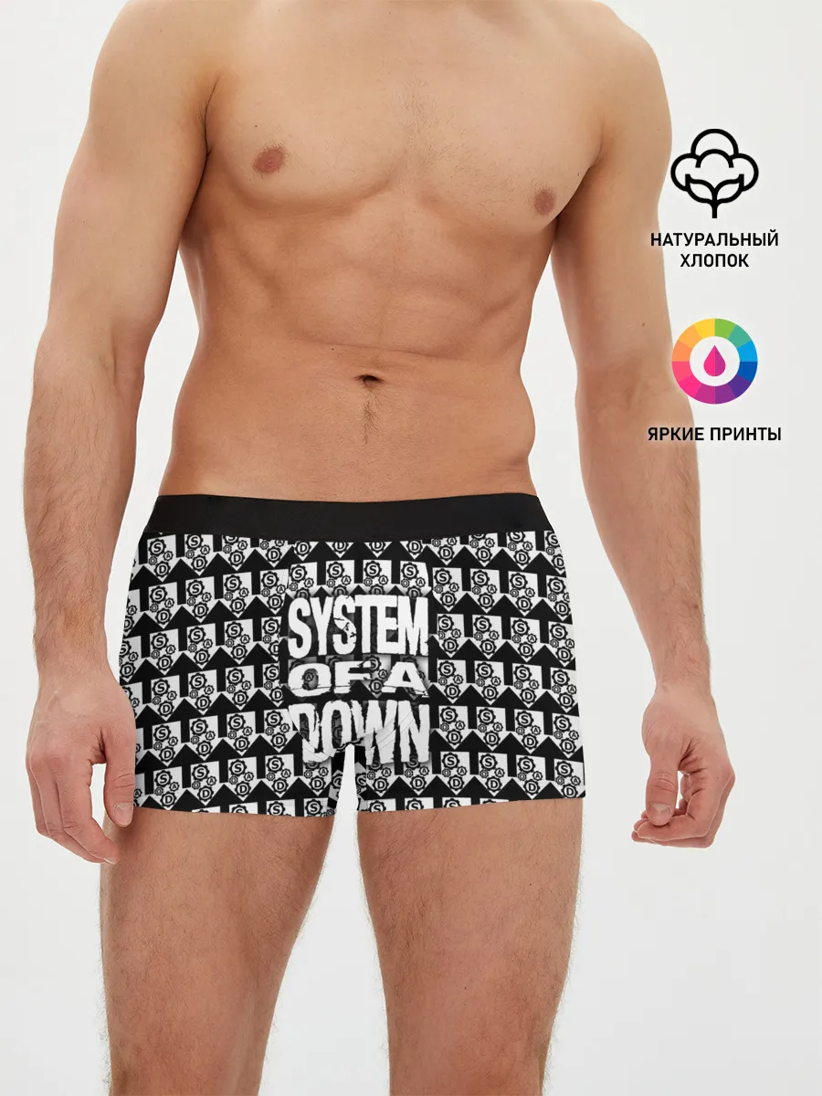 Мужские трусы боксеры / System of a Down