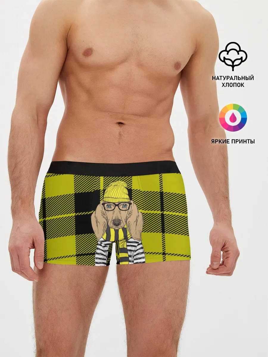 Мужские трусы боксеры / Такса Хипстер