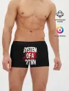 Мужские трусы боксеры / System of a Down