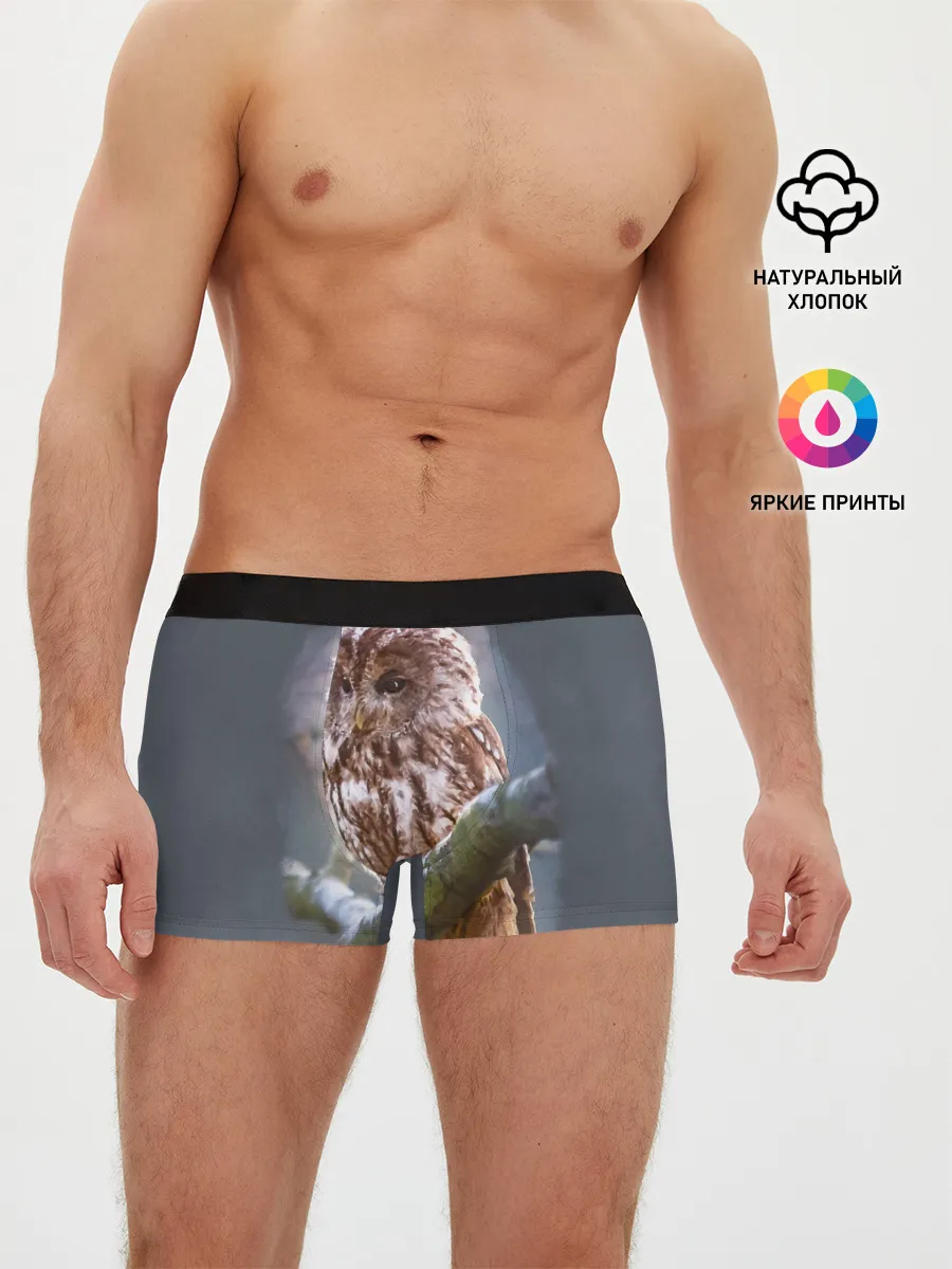 Мужские трусы боксеры / Сова