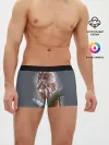 Мужские трусы боксеры / Сова