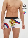 Мужские трусы боксеры / Россия Триколор