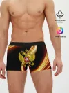Мужские трусы боксеры / Герб РФ collection line