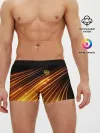 Мужские трусы боксеры / Russia Sport 2018 uniform