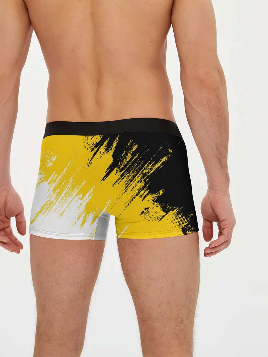 Мужские трусы боксеры / Имперский флаг и медведь