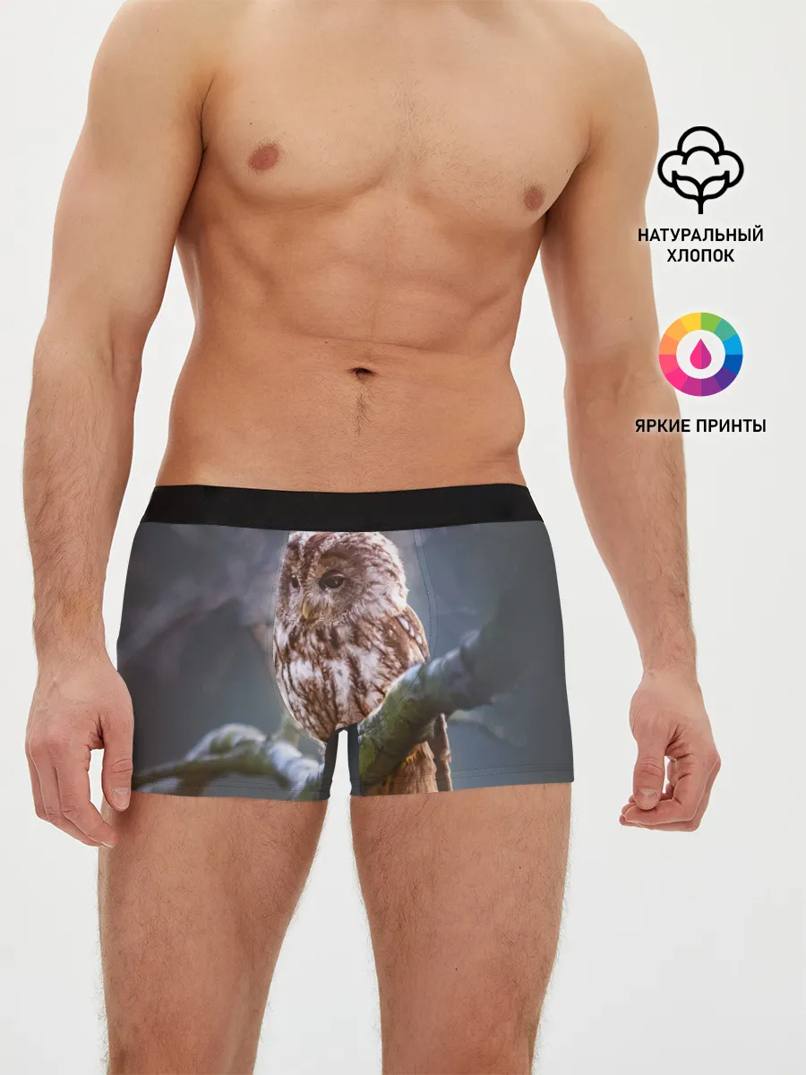 Мужские трусы боксеры / Сова
