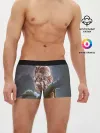 Мужские трусы боксеры / Сова