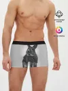 Мужские трусы боксеры / Кролик