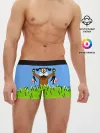 Мужские трусы боксеры / Duck Hunt