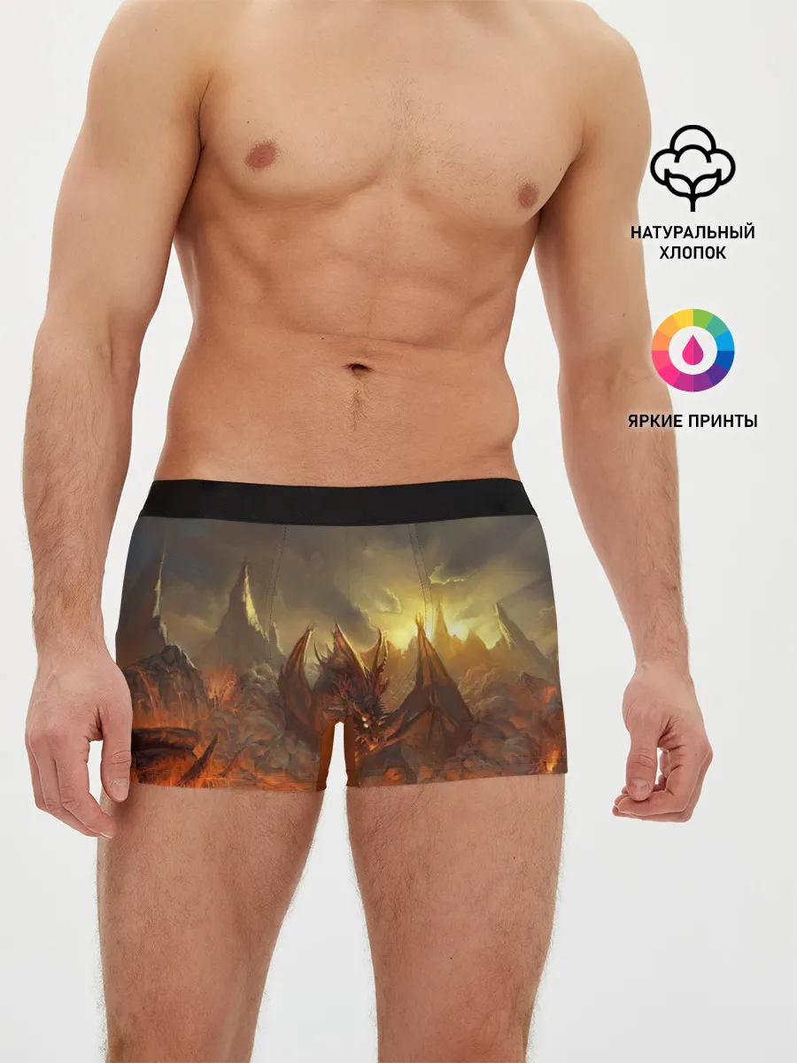 Мужские трусы боксеры / Fire Dragon