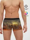 Мужские трусы боксеры / Fire Dragon