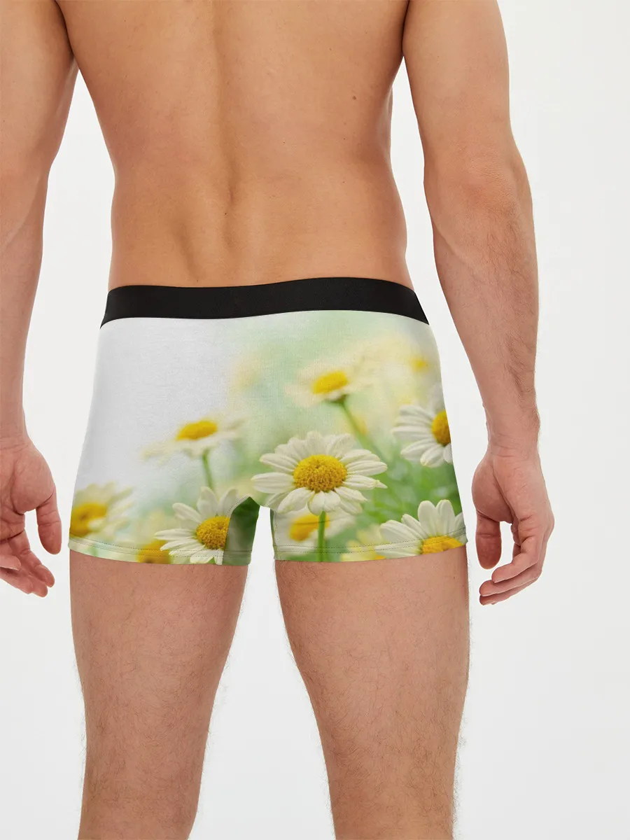 Мужские трусы боксеры / Полевые ромашки