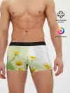 Мужские трусы боксеры / Полевые ромашки