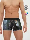 Мужские трусы боксеры / Геральт и Йен