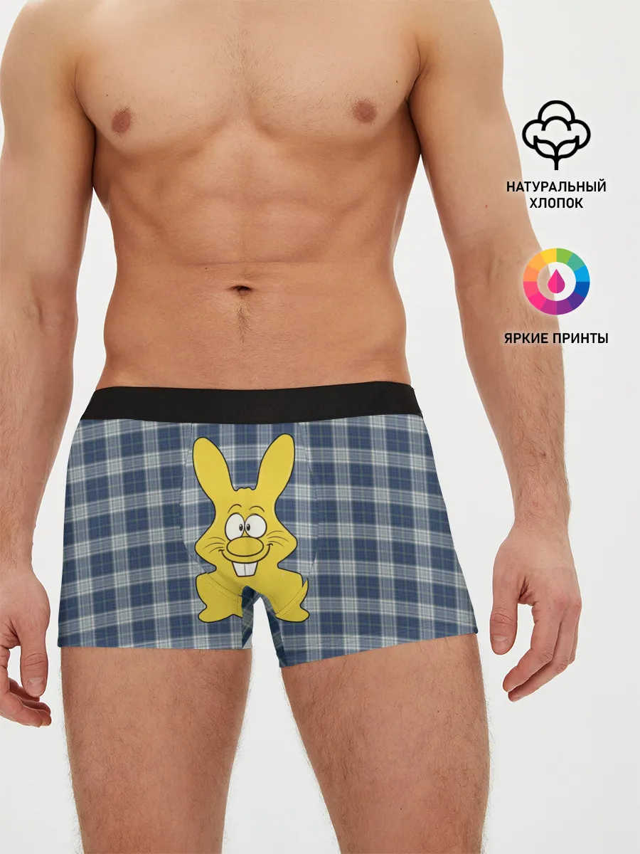 Мужские трусы боксеры / Харитон