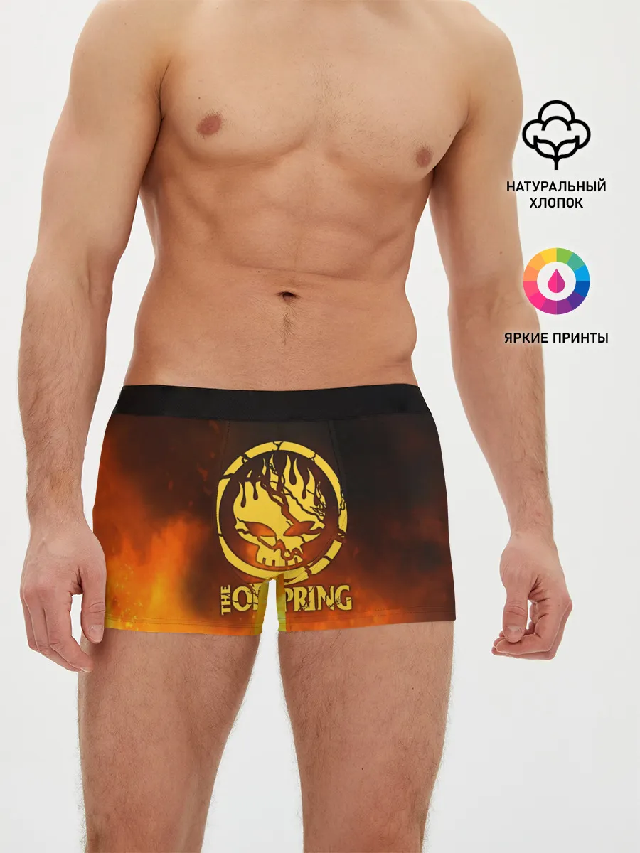 Мужские трусы боксеры / The Offspring
