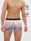 Мужские трусы боксеры / 30 Seconds to Mars