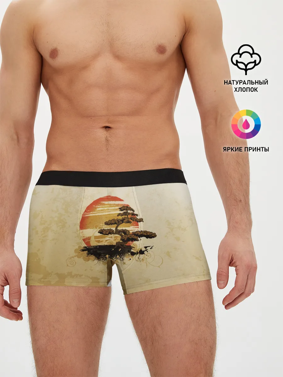 Мужские трусы боксеры / Дерево на закате