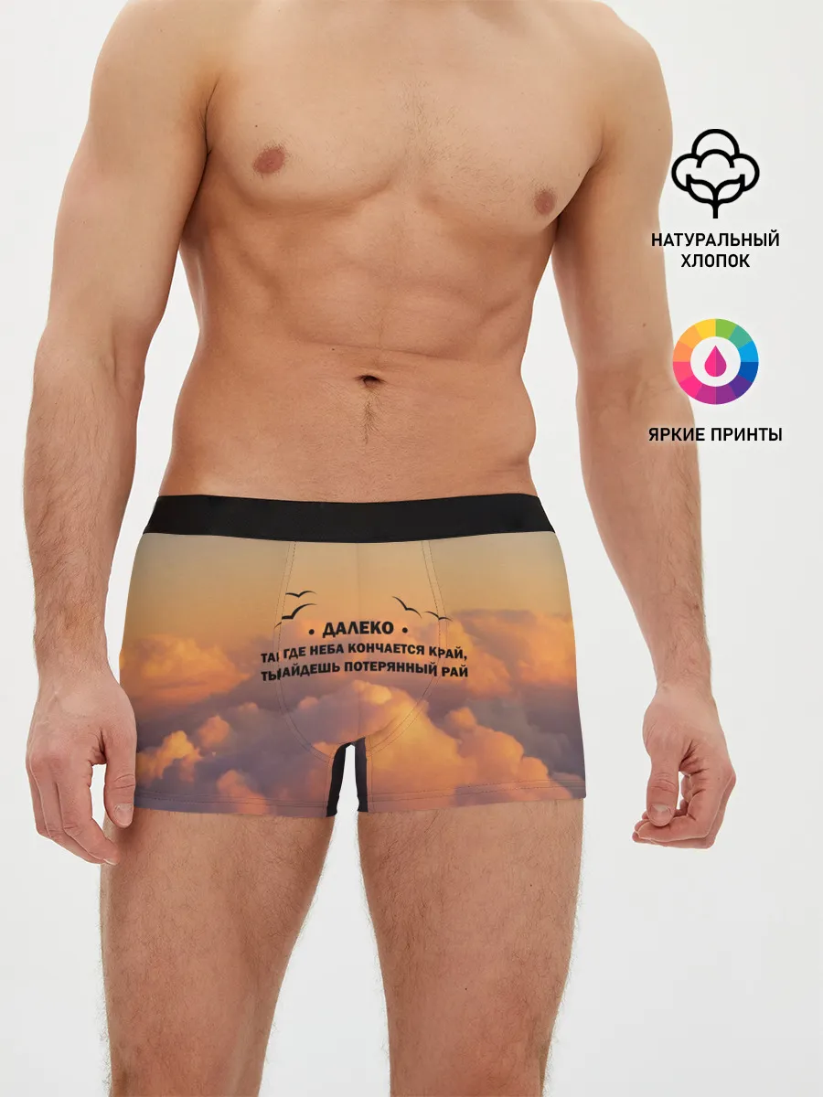 Мужские трусы боксеры / Ария