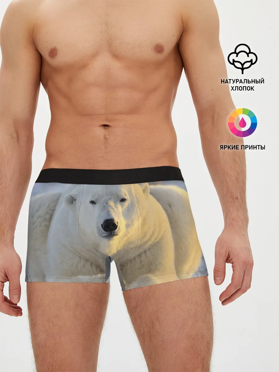 Мужские трусы боксеры / Медведь
