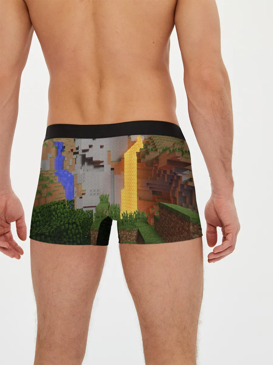 Мужские трусы боксеры / Стив сражается с Эндердраконом