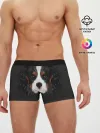 Мужские трусы боксеры / Cavalier King Charles