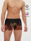 Мужские трусы боксеры / Korn