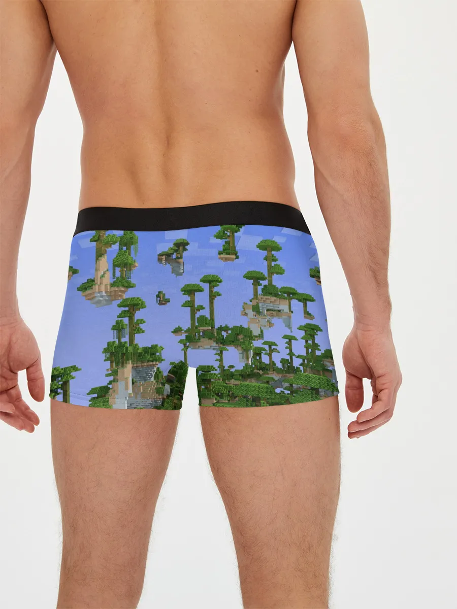 Мужские трусы боксеры / Стив среди парящих островов.