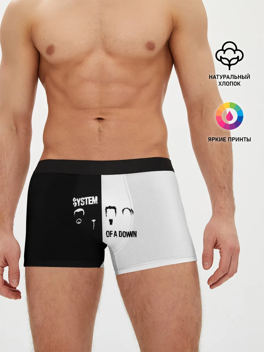 Мужские трусы боксеры / System of a Down