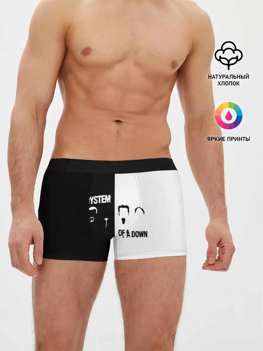 Мужские трусы боксеры / System of a Down