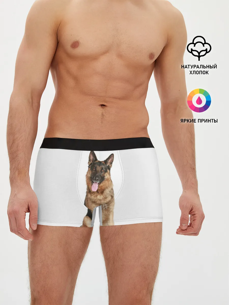 Мужские трусы боксеры / Верный друг