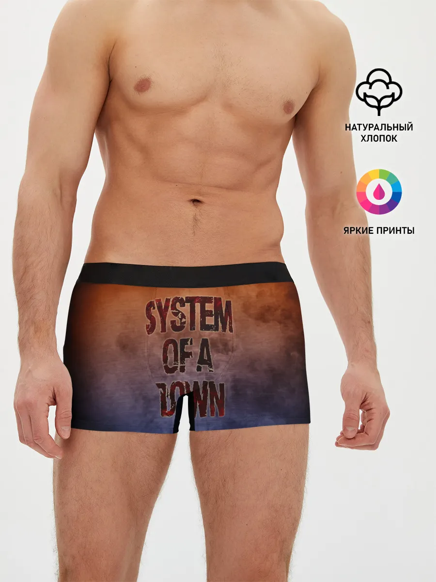 Мужские трусы боксеры / System of a Down