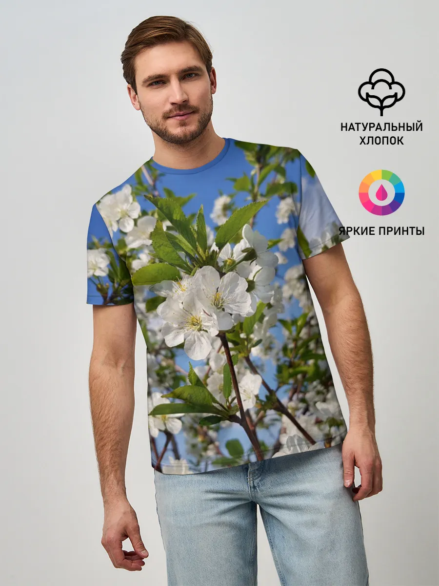 Мужская базовая футболка / Цвет вишни