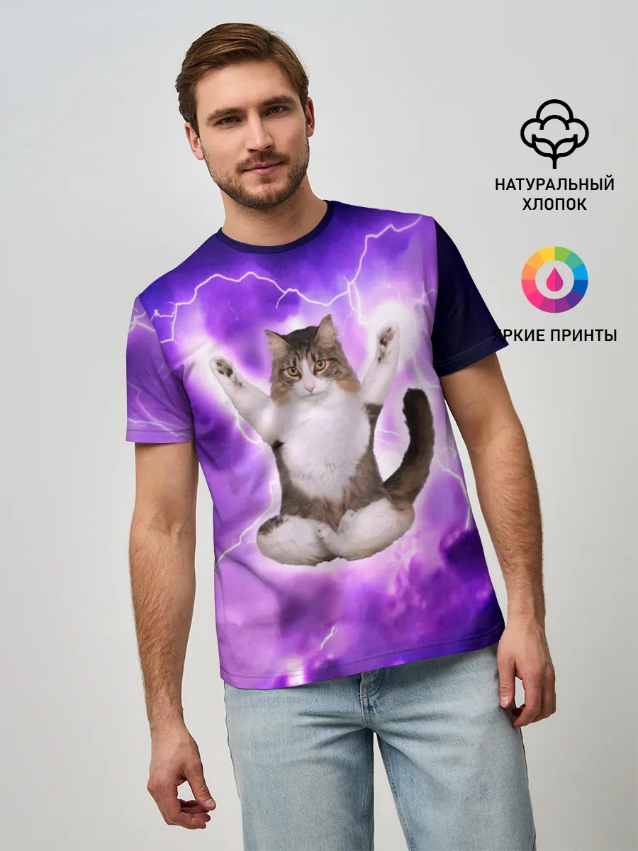 Мужская базовая футболка / Повелитель Молний | Котэ