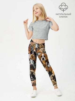 Леггинсы для девочки / Собаки