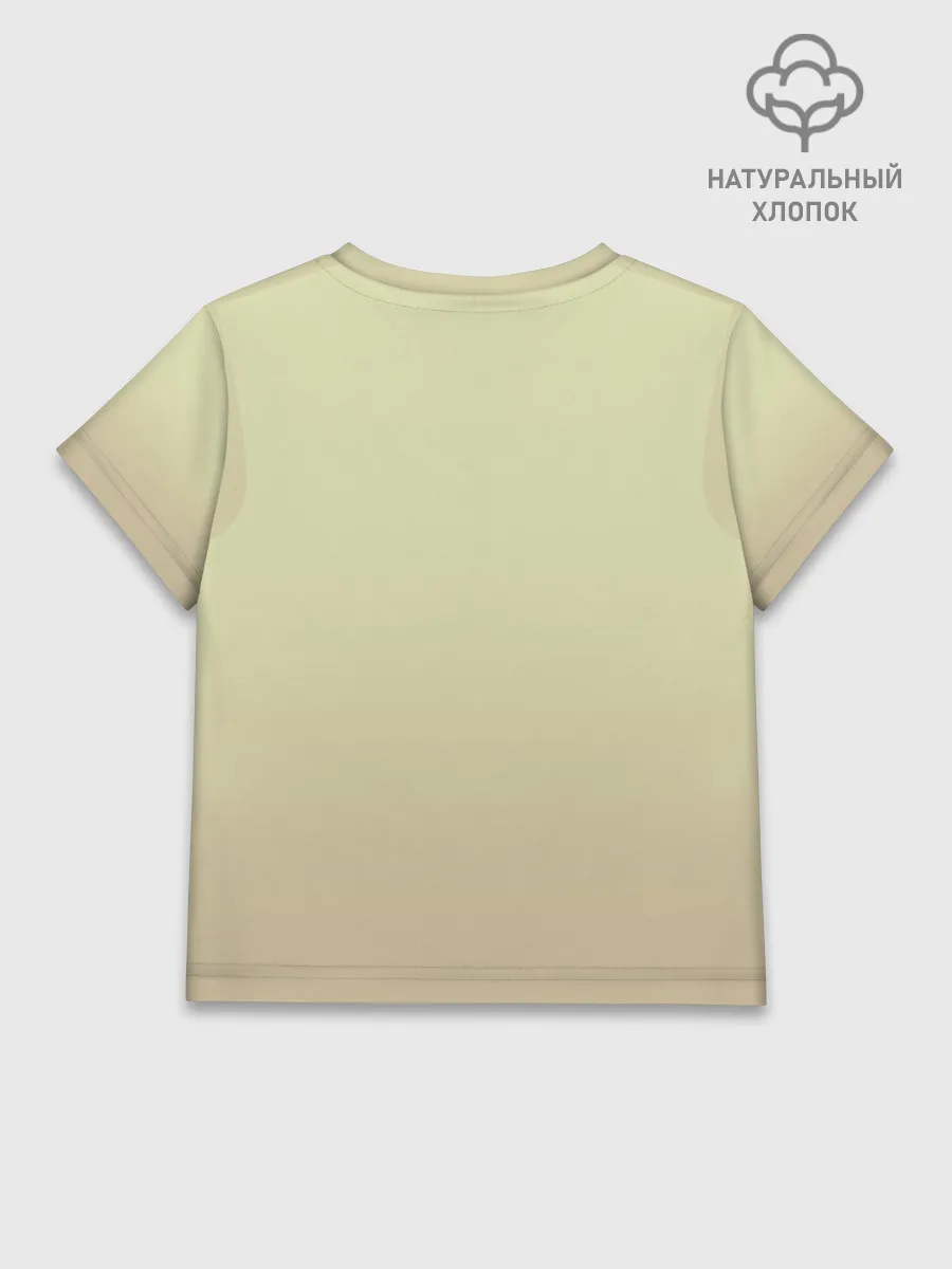 Детская футболка хлопок / Зарплату жене