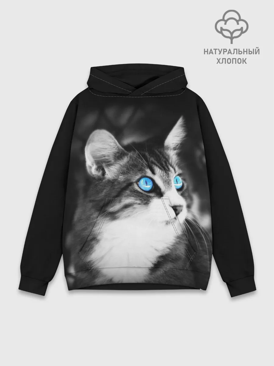 Худи мужской база хлопок / Кот