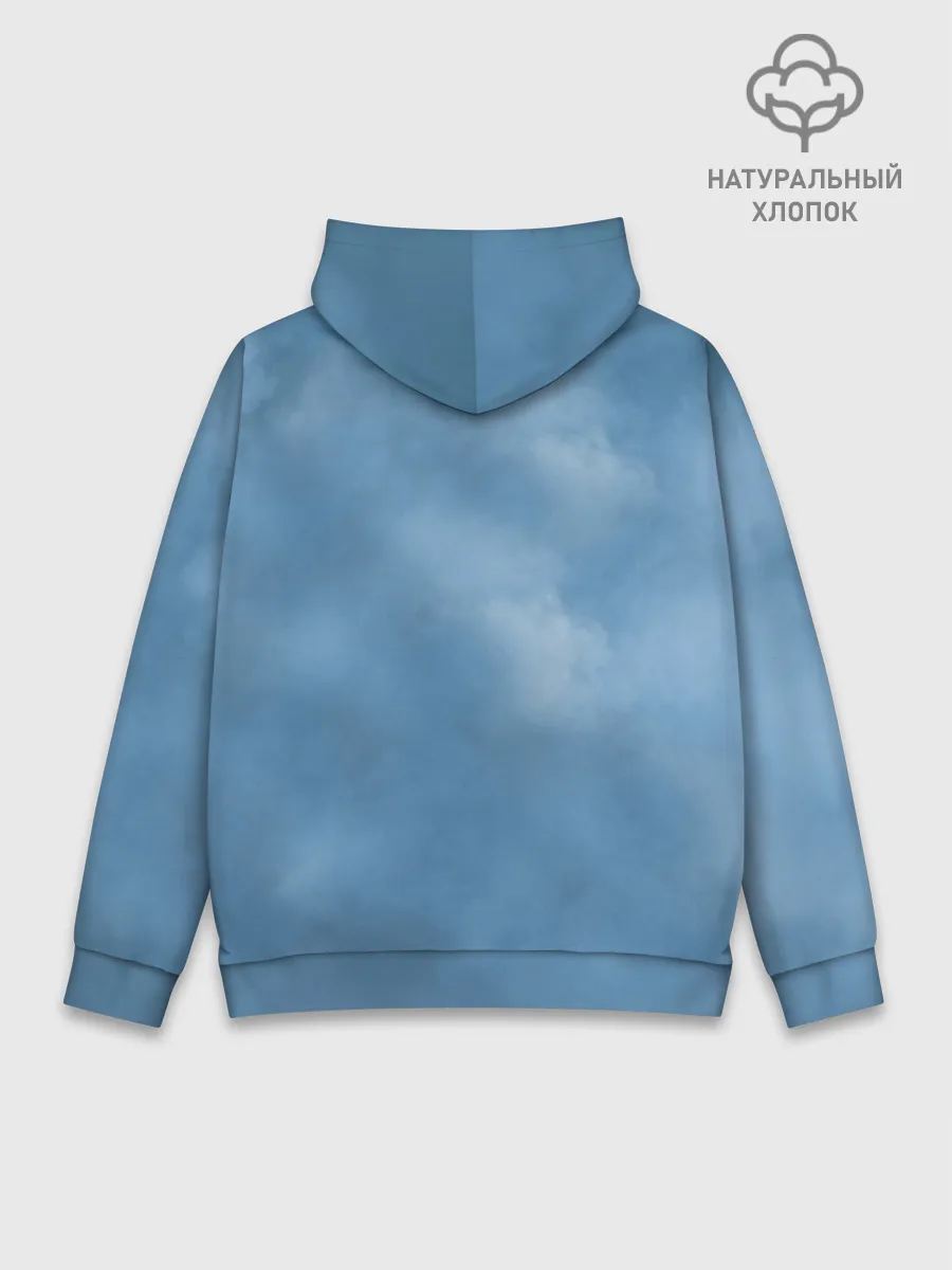 Худи мужской база хлопок / Skillet