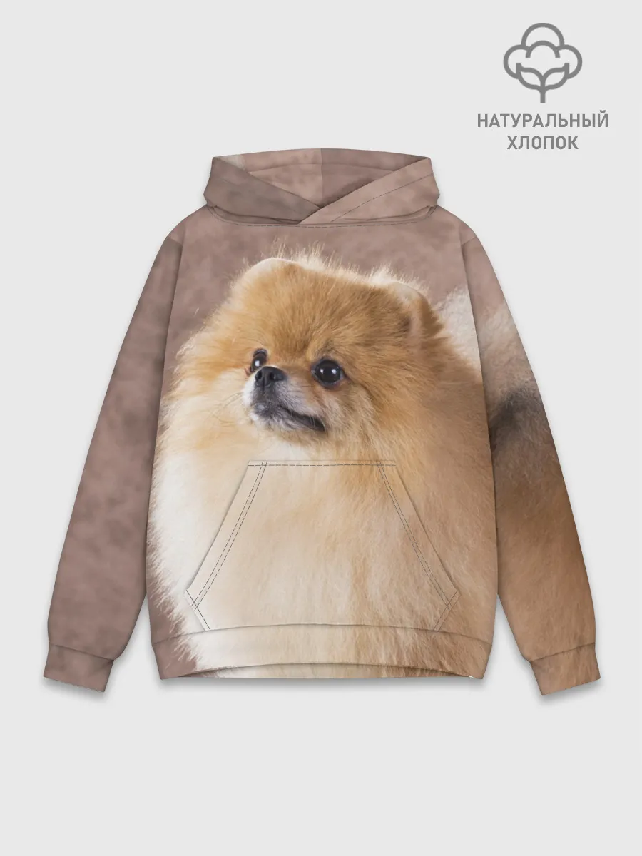 Худи мужской база хлопок / Шпитс