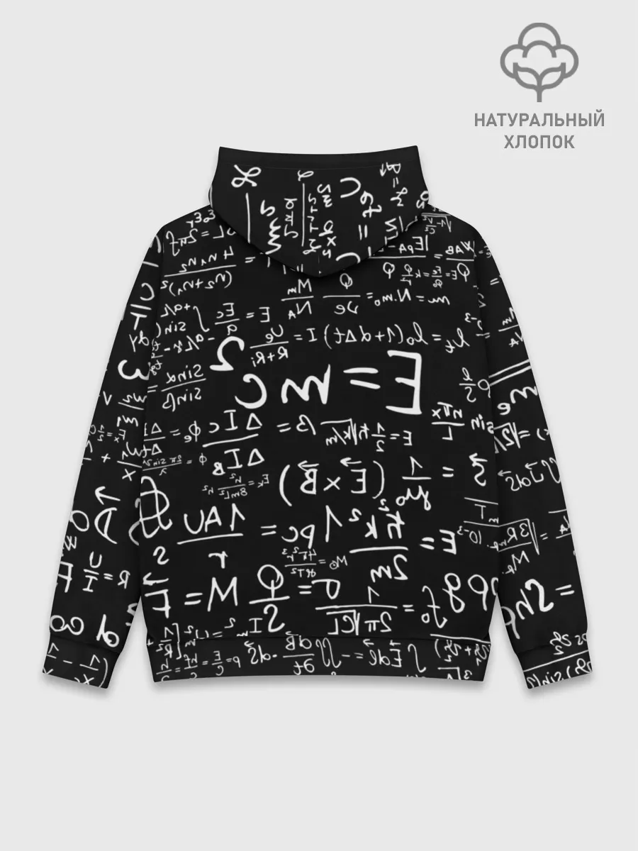 Худи мужской база хлопок / Формулы E=mc2